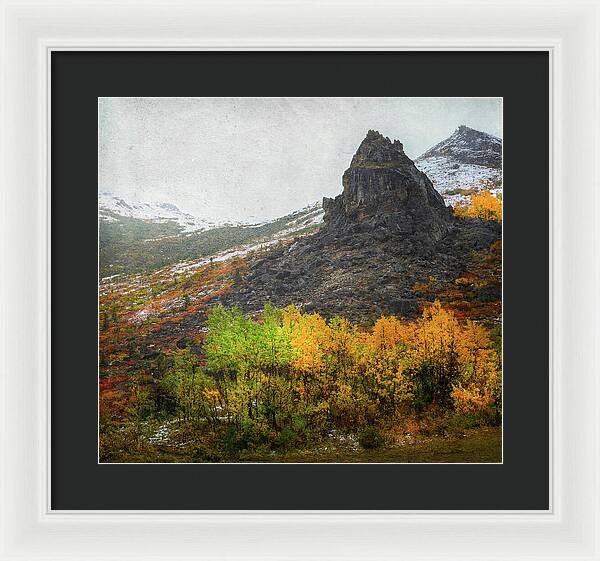 Denali Savage River Landscape In Fall - Framed Print