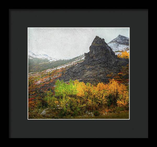 Denali Savage River Landscape In Fall - Framed Print