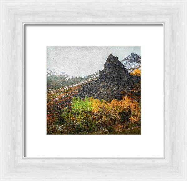 Denali Savage River Landscape In Fall - Framed Print