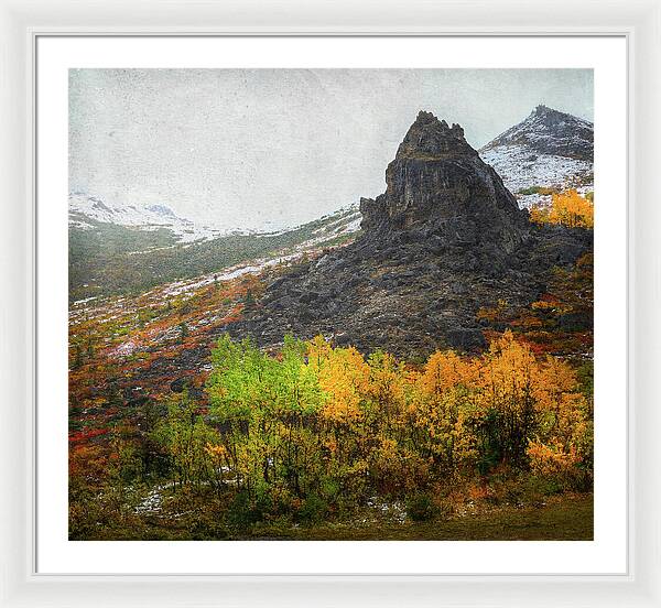 Denali Savage River Landscape In Fall - Framed Print