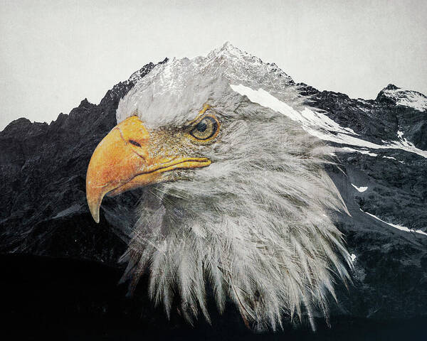 Eagle Mountain Double Exposure - Art Print