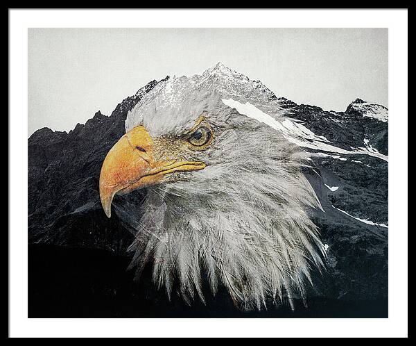 Eagle Mountain Double Exposure - Framed Print