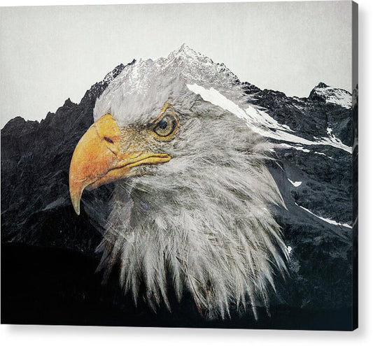 Eagle Mountain Double Exposure - Acrylic Print