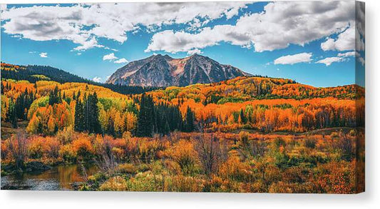 Fall On Kebler Pass - Canvas Print