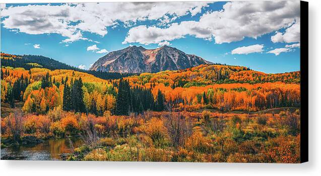 Fall On Kebler Pass - Canvas Print