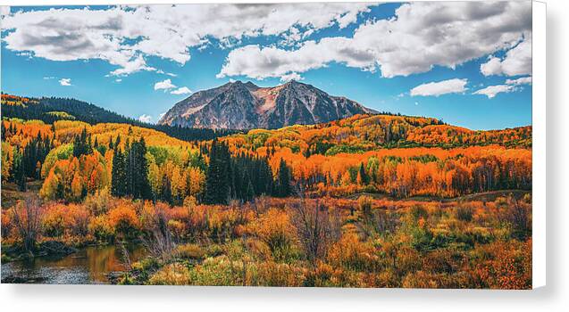 Fall On Kebler Pass - Canvas Print