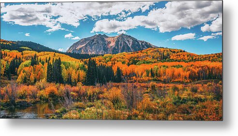 Fall On Kebler Pass - Metal Print