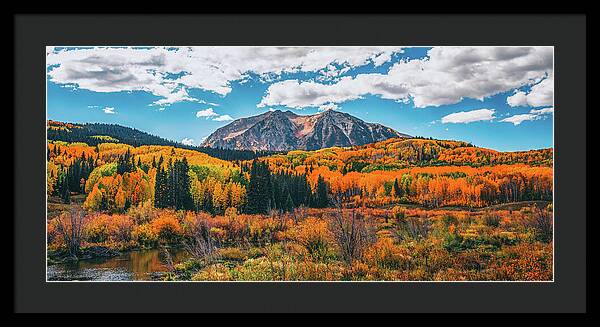 Fall On Kebler Pass - Framed Print