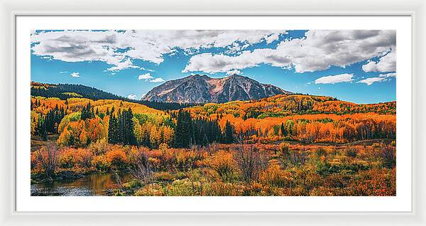 Fall On Kebler Pass - Framed Print