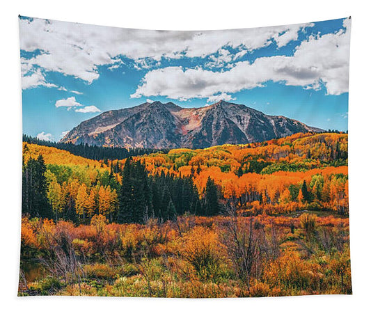 Fall On Kebler Pass - Tapestry