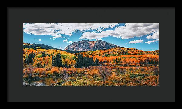 Fall On Kebler Pass - Framed Print