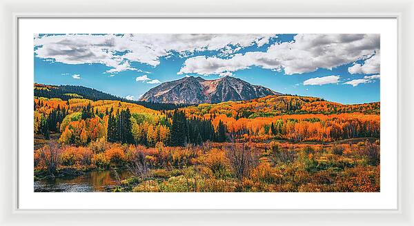 Fall On Kebler Pass - Framed Print