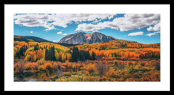 Fall On Kebler Pass - Framed Print