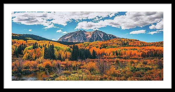 Fall On Kebler Pass - Framed Print