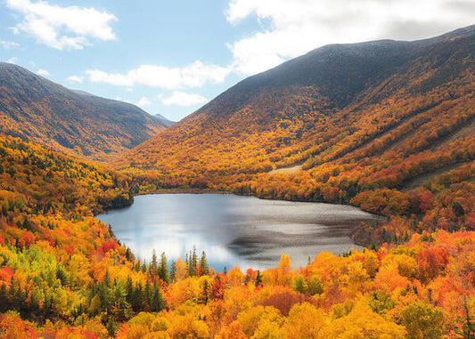 Franconia Notch In Fall Artist Bluff - Art Print