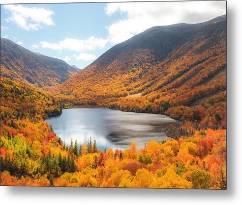 Franconia Notch In Fall Artist Bluff - Metal Print