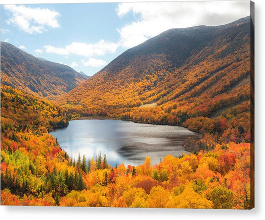 Franconia Notch In Fall Artist Bluff - Acrylic Print