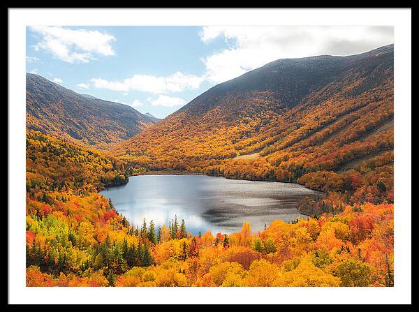 Franconia Notch In Fall Artist Bluff - Framed Print