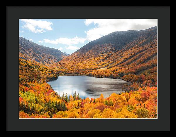 Franconia Notch In Fall Artist Bluff - Framed Print