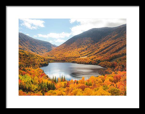 Franconia Notch In Fall Artist Bluff - Framed Print