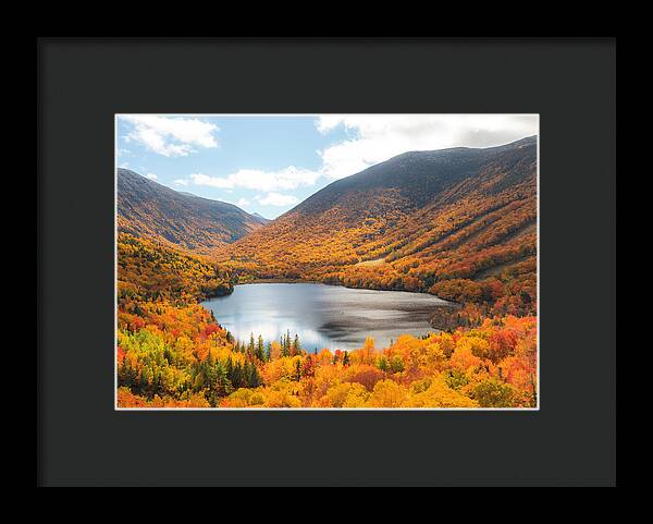 Franconia Notch In Fall Artist Bluff - Framed Print