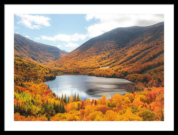 Franconia Notch In Fall Artist Bluff - Framed Print