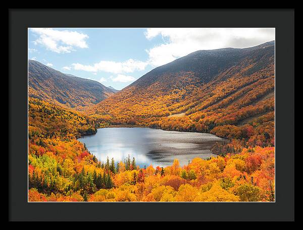 Franconia Notch In Fall Artist Bluff - Framed Print