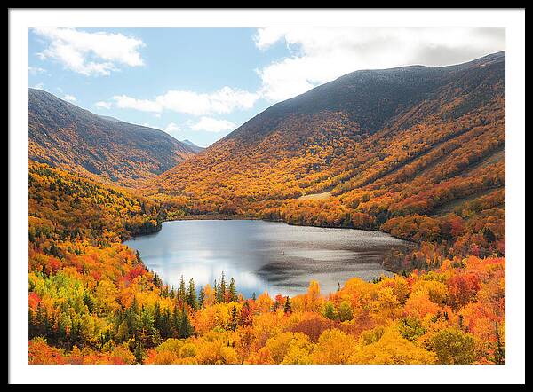 Franconia Notch In Fall Artist Bluff - Framed Print