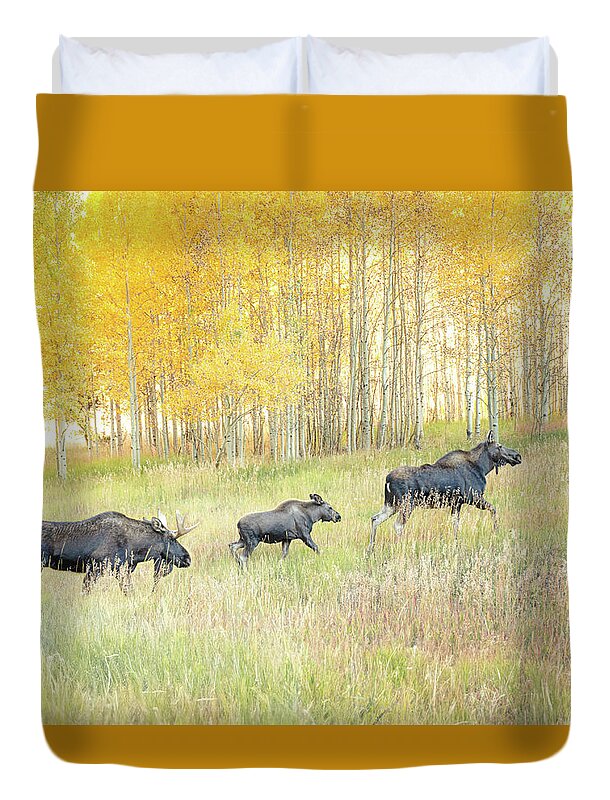 Moose Family In Autumn Aspen - Duvet Cover