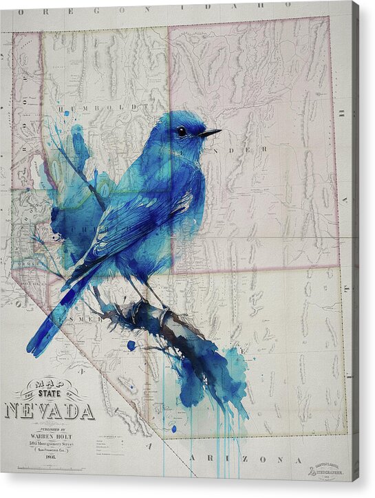 Nevada State Map And Mountain Bluebird - Acrylic Print