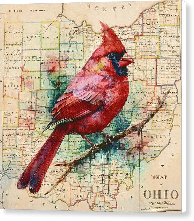 Ohio Map And Cardinal - Canvas Print