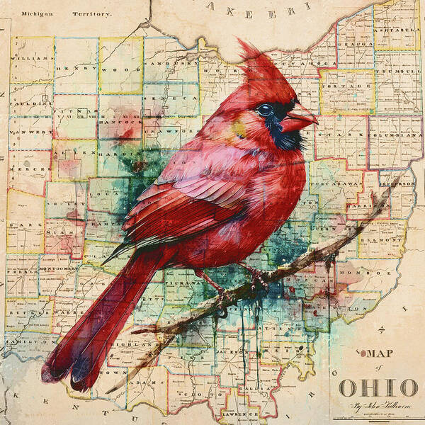 Ohio Map And Cardinal - Art Print