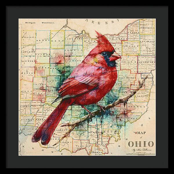 Ohio Map And Cardinal - Framed Print