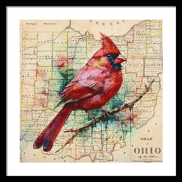 Ohio Map And Cardinal - Framed Print