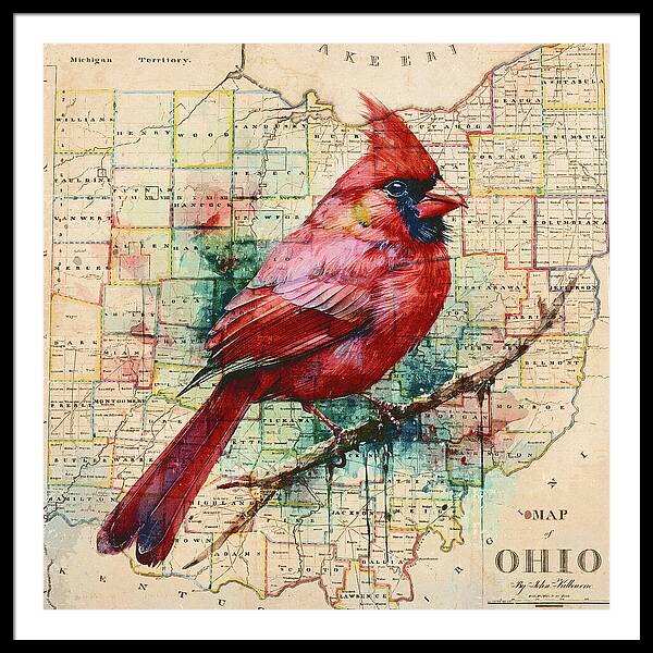 Ohio Map And Cardinal - Framed Print