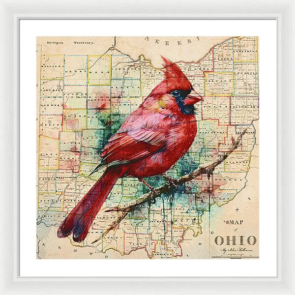 Ohio Map And Cardinal - Framed Print