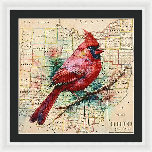 Ohio Map And Cardinal - Framed Print