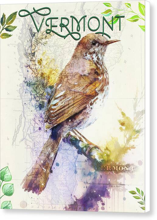 Vermont State Bird And Map - Canvas Print