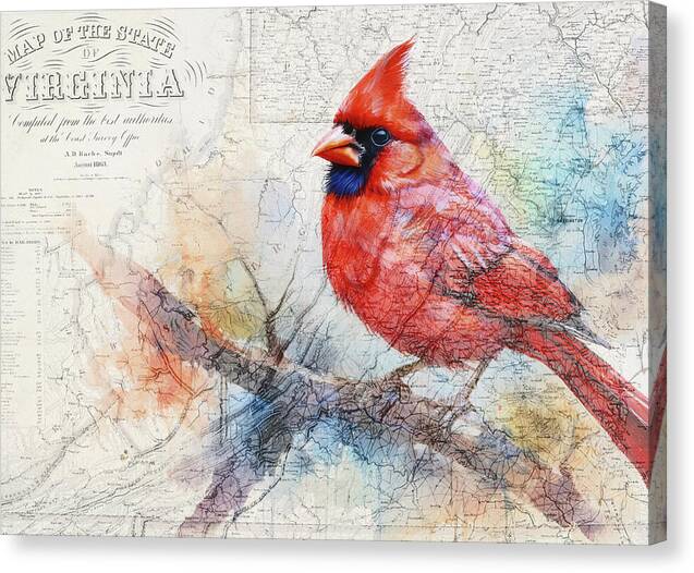 Virginia State Map And Cardinal Bird - Canvas Print