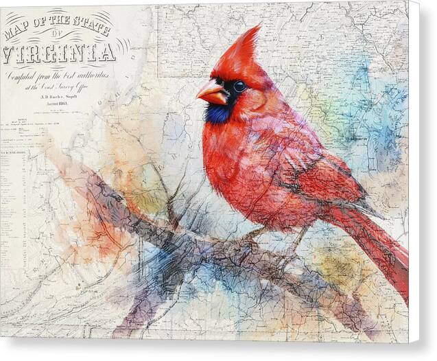 Virginia State Map And Cardinal Bird - Canvas Print