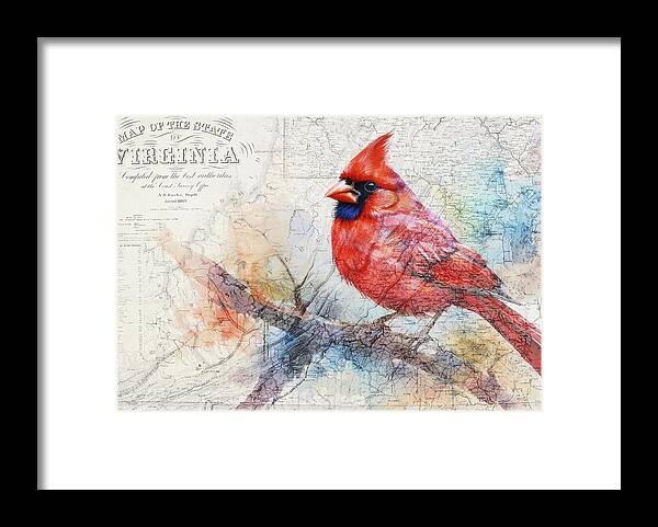 Virginia State Map And Cardinal Bird - Framed Print