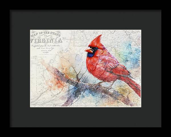 Virginia State Map And Cardinal Bird - Framed Print