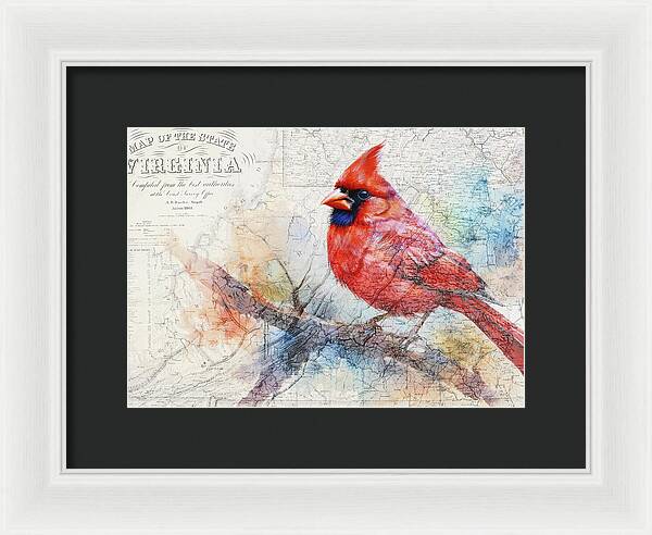 Virginia State Map And Cardinal Bird - Framed Print