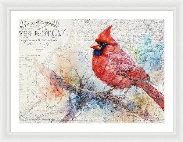 Virginia State Map And Cardinal Bird - Framed Print