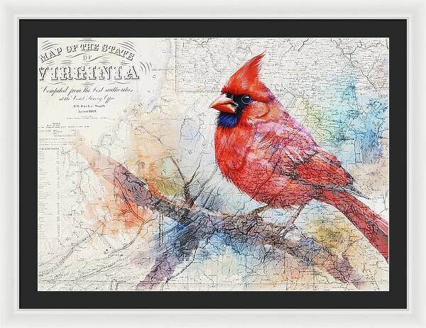 Virginia State Map And Cardinal Bird - Framed Print