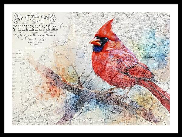 Virginia State Map And Cardinal Bird - Framed Print