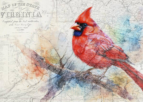 Virginia State Map And Cardinal Bird - Art Print