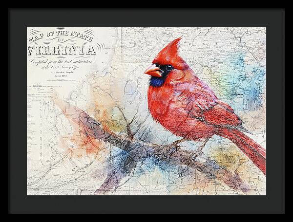 Virginia State Map And Cardinal Bird - Framed Print