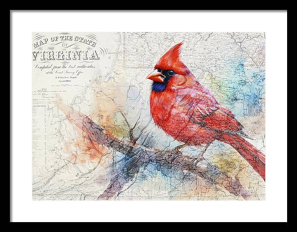 Virginia State Map And Cardinal Bird - Framed Print