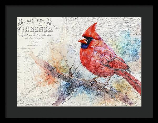 Virginia State Map And Cardinal Bird - Framed Print